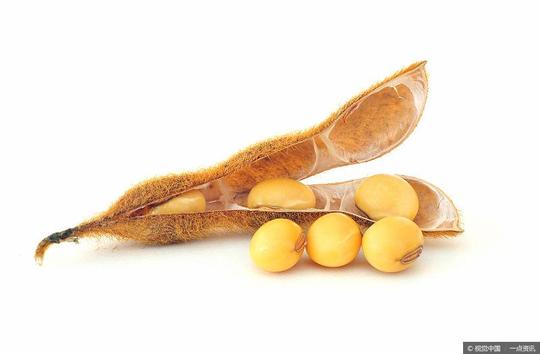 印度:北方邦要求提高食糖销售配额及出厂价印度北方邦要求中央政府