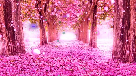 动感喜庆婚礼树林花瓣花海_3840x2160_高清视频素材