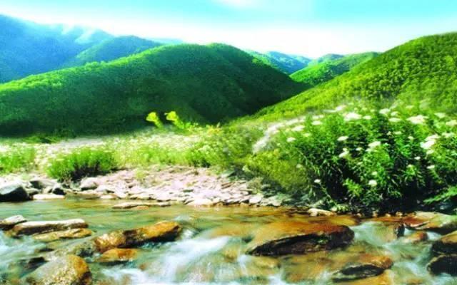 清明节放假怎么写通知50字