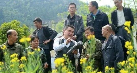 现在有啥适合乡村做的小生意吗(适合农村创业的4个项目)