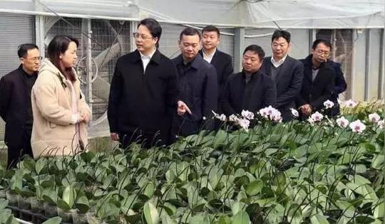 调研台湾农民创业园