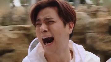 极限挑战罗志祥表情包