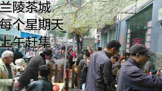 古玩～鱼虫～鲜花批发大户5000元用1年_常州生意/商铺