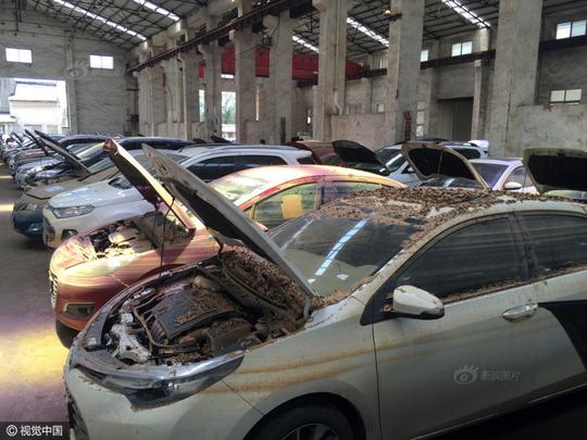 倒卖公司集中的泡水车展示区图片来源:视觉中国-武汉暴雨后各型各