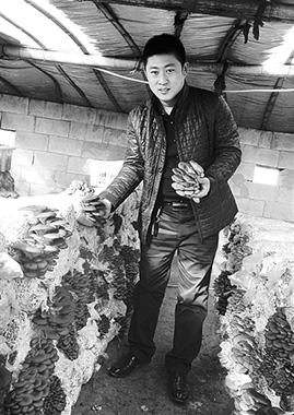 "卖菜哥"张磊-邯郸大学生毕业后卖菜月营业额达80余万