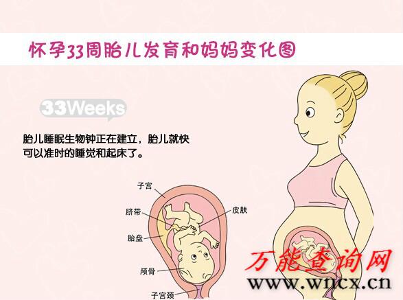 怀孕33周胎儿的变化及注意事项
