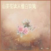 山茶花读不懂白玫瑰(王为)