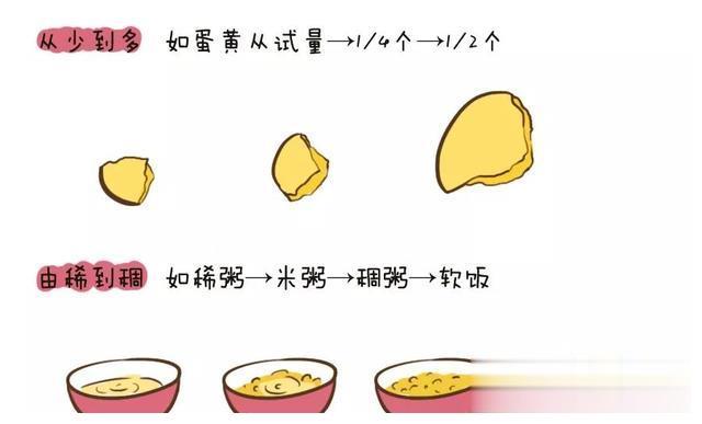 宝宝辅食添加顺序及原则