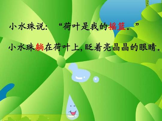 荷叶圆圆课件ppt