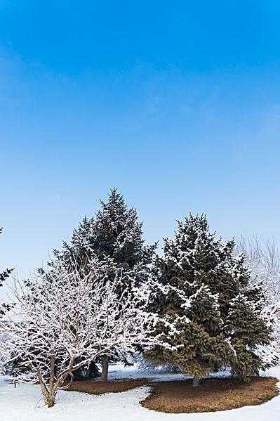 雪景_图片大全—全景创意图库（quanjing.com）中国领先的正版图片视频素材网站