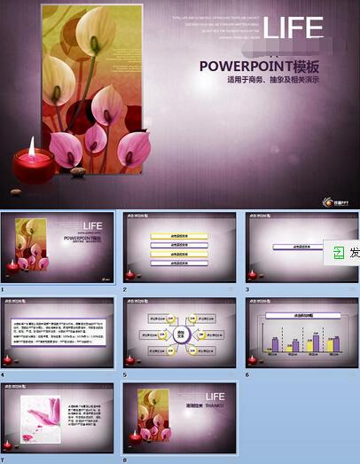 紫色玫瑰女性创业ppt模板