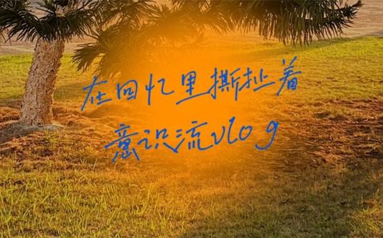 「我在回忆里撕扯着」|vlog|意识流短片|空镜头|素材