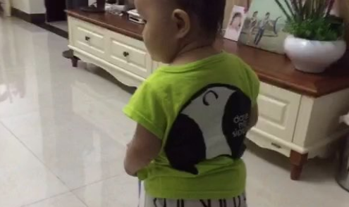 八个月宝宝吃什么好呢