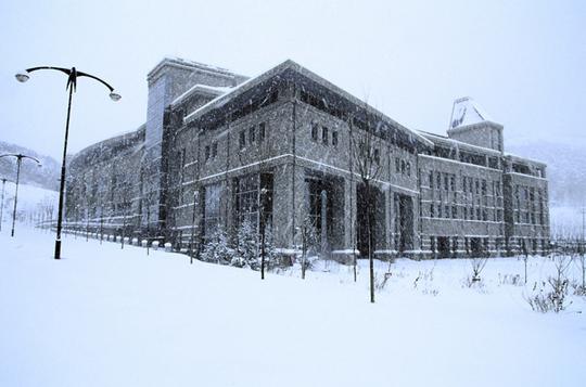 大连东软信息技术职业学院