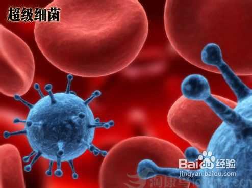 预防宝宝细菌感染