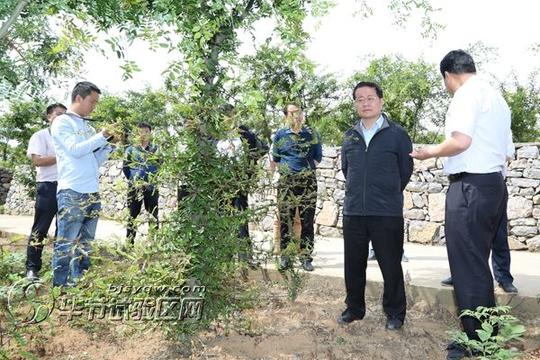 1在金碧镇返乡农民工创业园调研