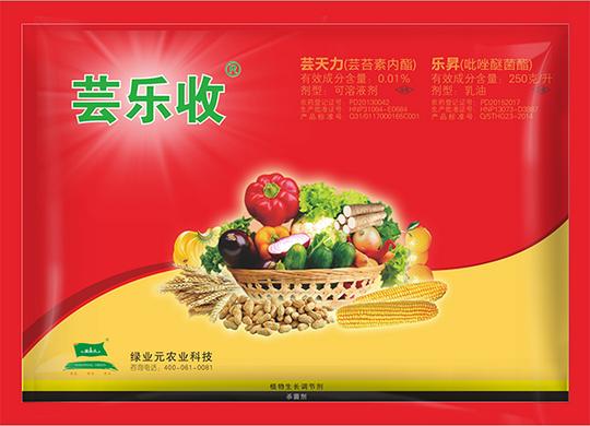 松滋芸乐收启动会邀请函