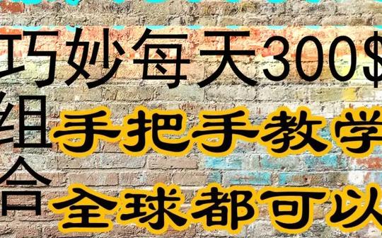 巧妙组合策略赚美金每天300$创业副业兼职赚钱项目组合干货分享-萌祥种树持续更新