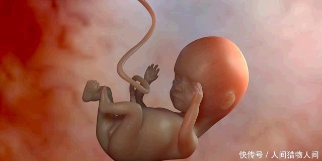 孕期如何知道胎儿发育情况