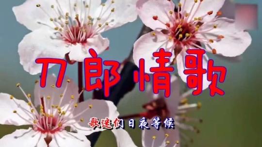 爱小艺传媒