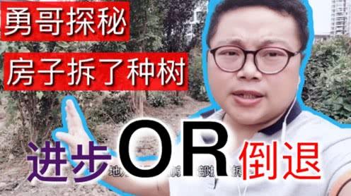 [勇哥探秘]农村拆迁地十年没开发，只能种树不许村民种植农作物，是何原因