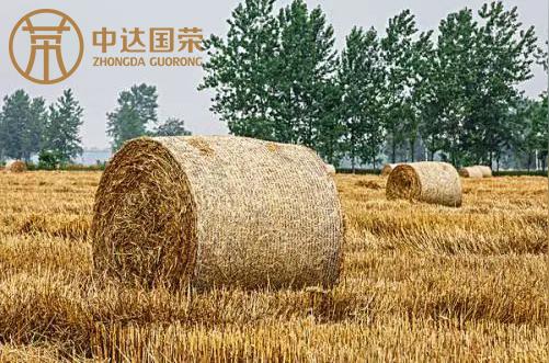 整合绿色农业资源和优势资源促进农村经济发展