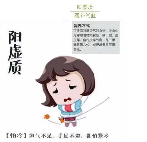 中医体质&lt;/strong&gt;方药学说