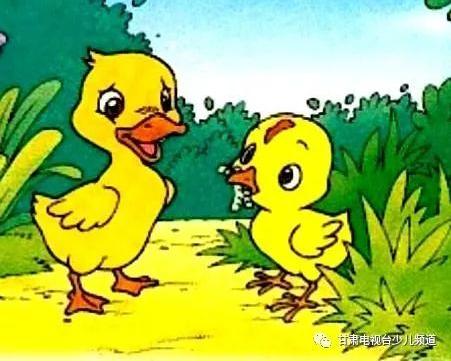马可哥哥为你读课文--一年级课文《小公鸡和小鸭子》