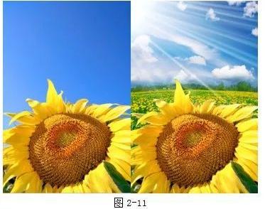 ps抠图教程:魔术橡皮擦抠图教程(含配套素材和橡皮擦抠图视频教程)