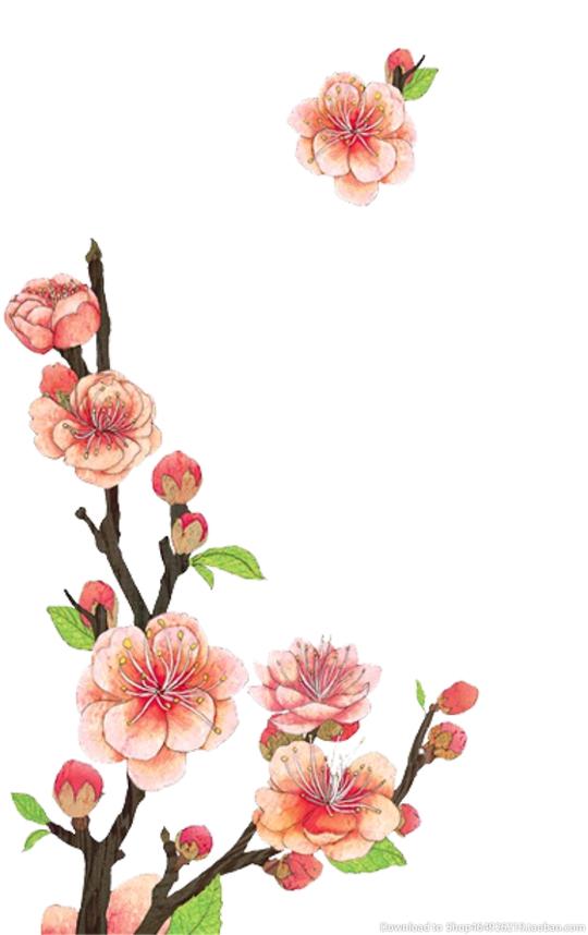 中国风水墨花卉古典背景素材模板png免扣透明素材背景