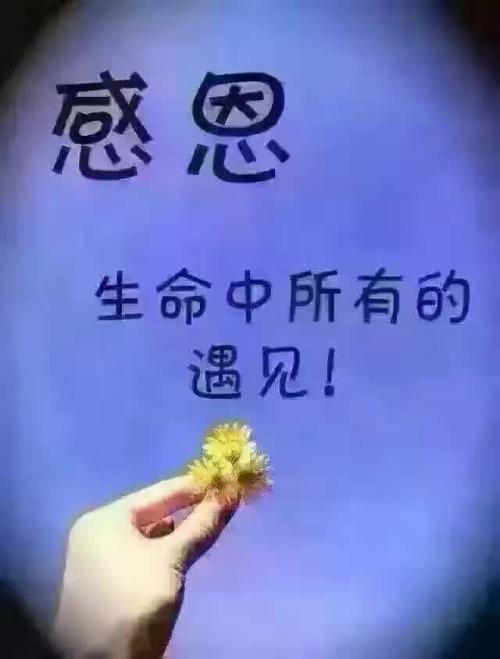 感恩生命中所有的遇见