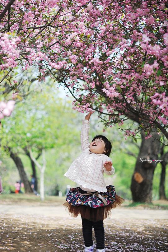 全家春游