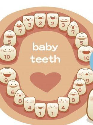 宝宝长牙顺序图片