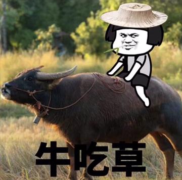 老牛吃嫩草的表情包搞笑gif 老牛吃嫩草的表情包搞笑gif