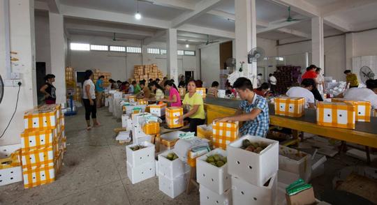 从惨淡经营到生意火爆,百香果改变了这家快递公司的命运