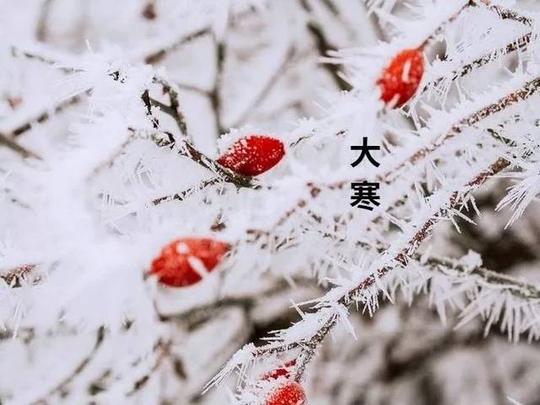 节气:大寒,冬将尽,春将始
