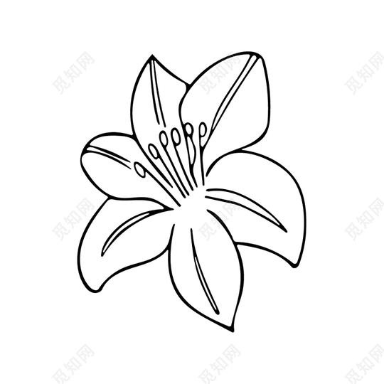 一朵花简笔画矢量素材