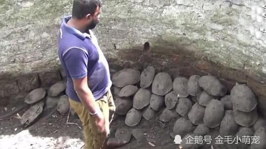 枯井下堆满"泥石块",大叔刚想一铲子全铲走,弯下腰一