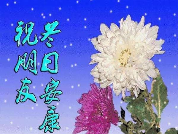 又是一年秋天的感慨说说