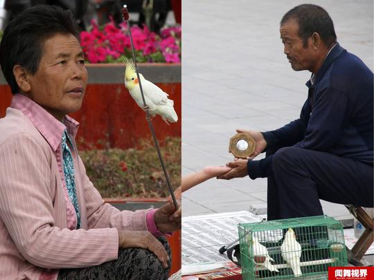 夫妻庙会同摆神鸟算命日赚千元骗术两年前遭