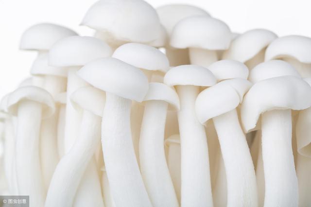 婴幼儿每日需要多少维生素B
