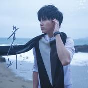 你还要我怎样(薛之谦)