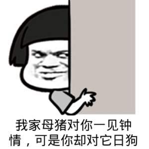 我真是日了狗了搞笑表情包