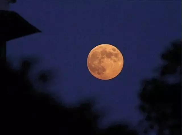 2020的超级月亮在什么时候出现