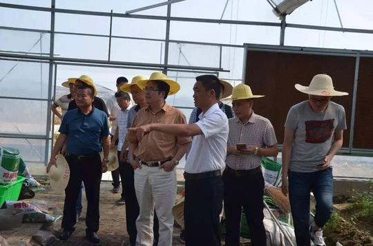 7月31日至8月1日,全国农业科技创新创业联盟执行会长兼秘书长李同斌