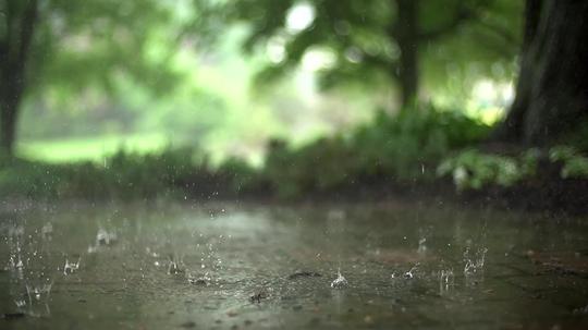 【素材推荐】下雨雨滴特写高清视频-92素材网_ae模板