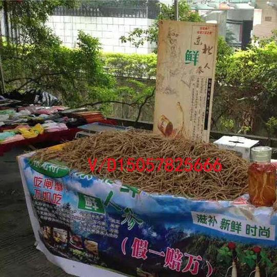 厂家直销跑江湖地摊东北新鲜人参展销会暴利产品摆地摊鲜人参示例图4
