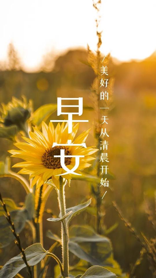 新知达人,朋友圈文案|励志正能量|互动素材|第1647