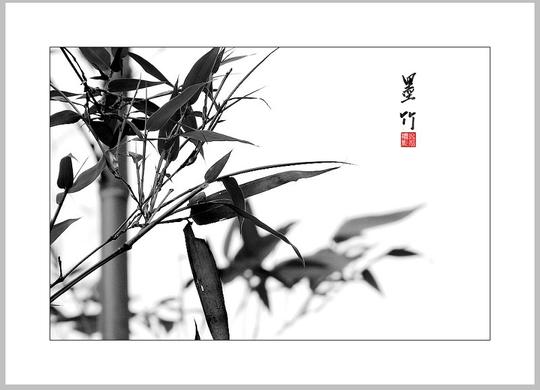 真正的善是"上善若水",水是什么?是海纳百川.是宽容与谅解.