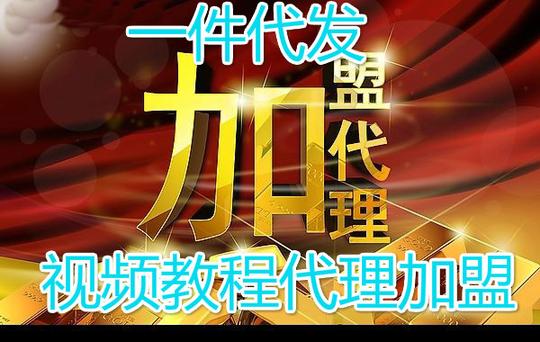 视频教程课件创业加盟代理项目一件代发无本创业微信白手起家￥